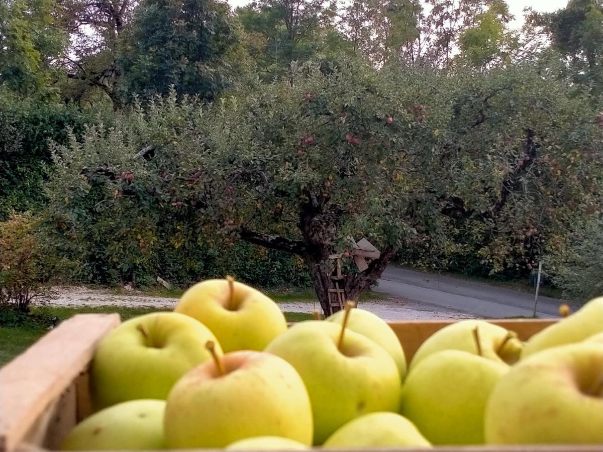 Bed and breakfast Antico Melo Vignole